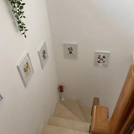 Casa Da Avo Fatima *